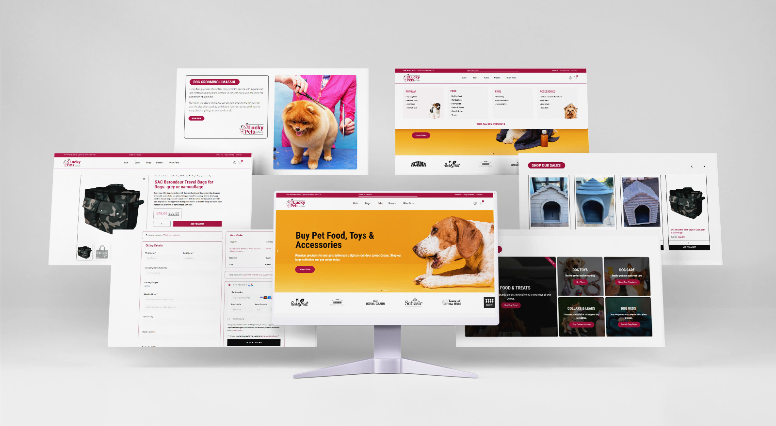 Lucky Pets Hero Image Portfolio