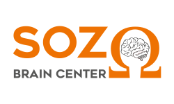 SOZO Logo Landing Page